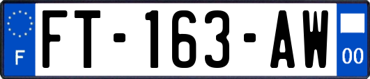 FT-163-AW