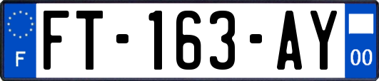 FT-163-AY