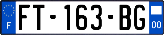 FT-163-BG