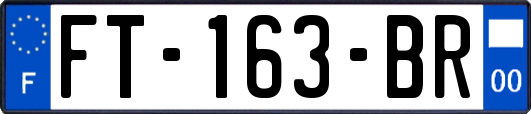 FT-163-BR