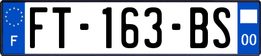 FT-163-BS