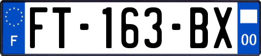 FT-163-BX