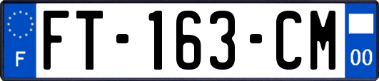 FT-163-CM