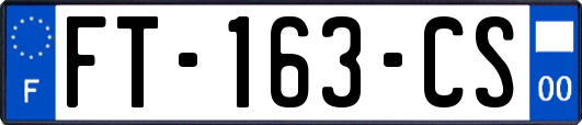 FT-163-CS