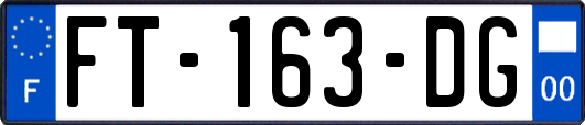 FT-163-DG