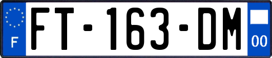 FT-163-DM