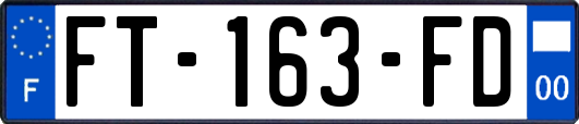 FT-163-FD