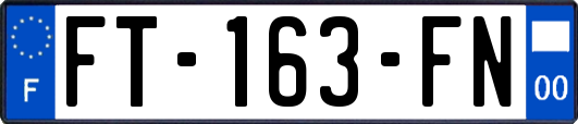 FT-163-FN
