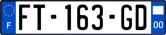 FT-163-GD