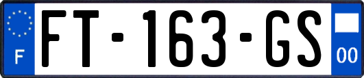 FT-163-GS