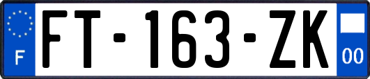 FT-163-ZK