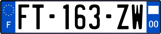 FT-163-ZW