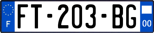 FT-203-BG