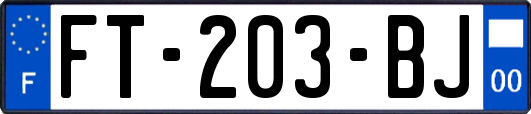 FT-203-BJ