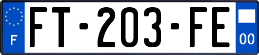 FT-203-FE