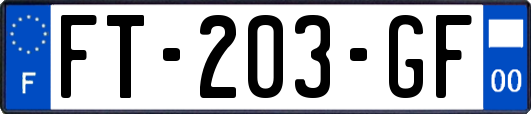 FT-203-GF