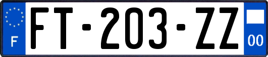 FT-203-ZZ