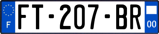 FT-207-BR