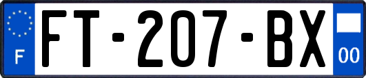 FT-207-BX