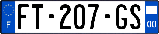 FT-207-GS