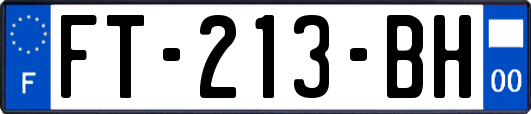 FT-213-BH