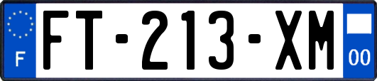 FT-213-XM
