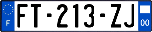 FT-213-ZJ