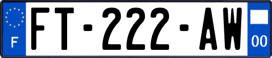 FT-222-AW