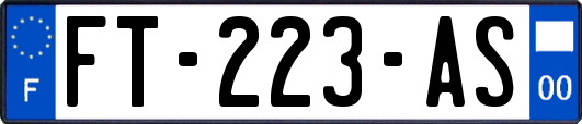 FT-223-AS
