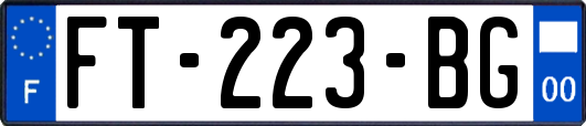 FT-223-BG