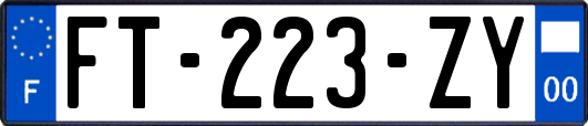 FT-223-ZY