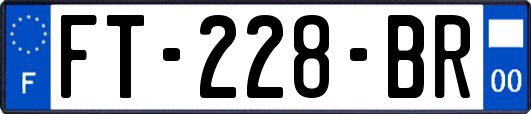 FT-228-BR