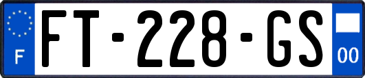 FT-228-GS