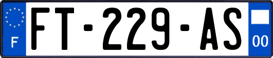 FT-229-AS