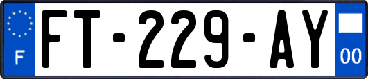 FT-229-AY