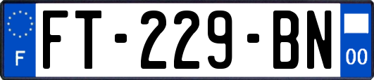 FT-229-BN