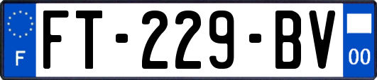 FT-229-BV