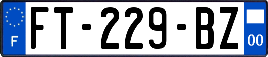 FT-229-BZ