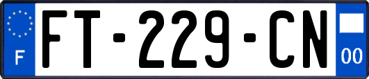 FT-229-CN