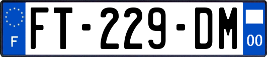 FT-229-DM