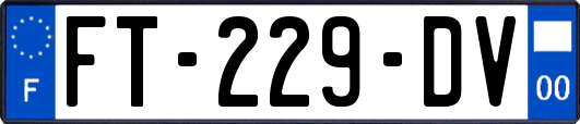 FT-229-DV