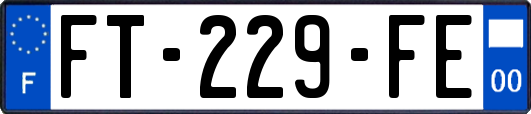 FT-229-FE