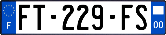 FT-229-FS