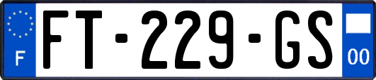 FT-229-GS