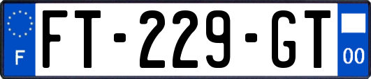FT-229-GT