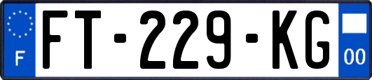 FT-229-KG