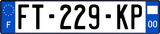 FT-229-KP