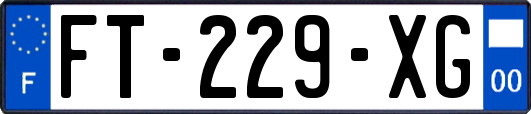 FT-229-XG