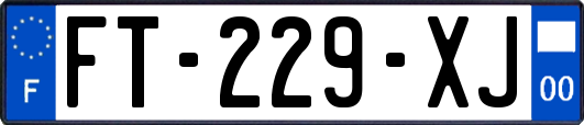 FT-229-XJ