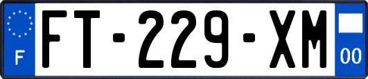 FT-229-XM
